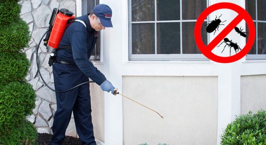 Korkuteli Böcek ve Haşere İlaçlama böcek ilaçlama ve haşere kontrolü — ilaclama-tr.com
